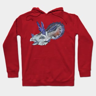 Triceratops Geode Hoodie